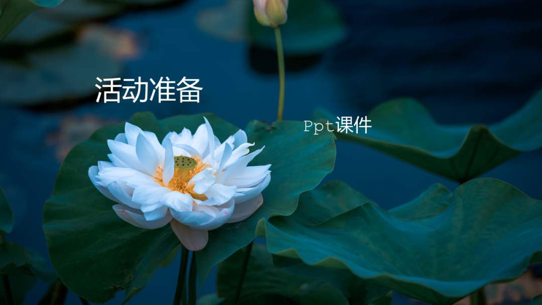 幼儿园大班语言教案：芙蓉楼送辛渐