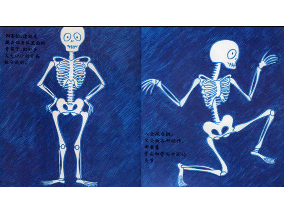 儿童绘本故事推荐世界优秀科学图画书《骨头》