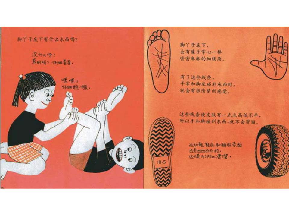 儿童绘本故事推荐世界优秀科学图画书《脚丫子的故事》