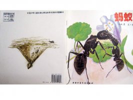 儿童绘本故事推荐世界优秀科学图画书《蚂蚁》
