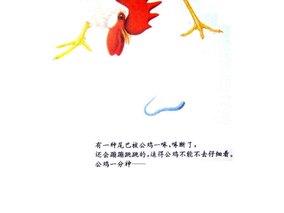 儿童绘本故事推荐世界优秀科学图画书《奇妙的尾巴》