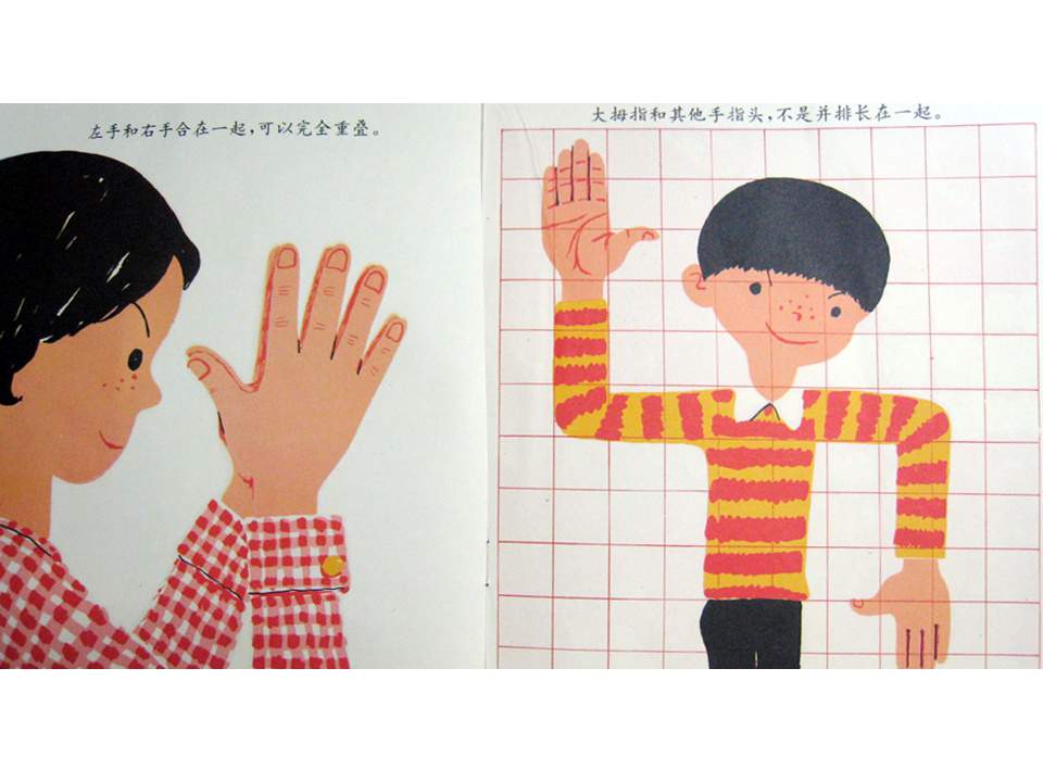 儿童绘本故事推荐世界优秀科学图画书《手和手指头》