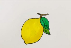 柠檬简笔画画法