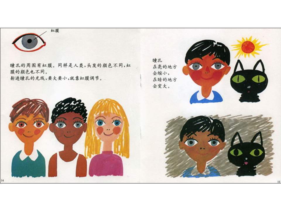 儿童绘本故事推荐世界优秀科学图画书《眼睛的故事》