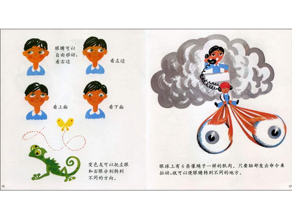 儿童绘本故事推荐世界优秀科学图画书《眼睛的故事》