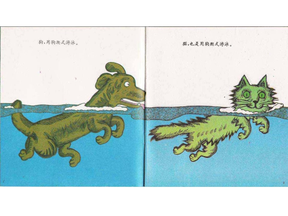 儿童绘本故事推荐世界优秀科学图画书《游泳》