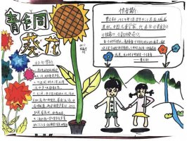 四年级青铜葵花手抄报图片及内容（精选10张）