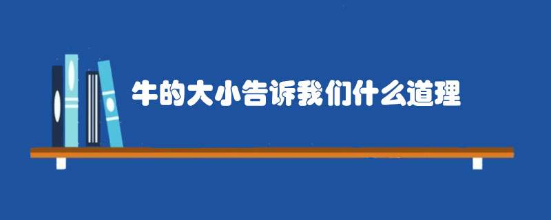 牛的大小告诉我们什么道理