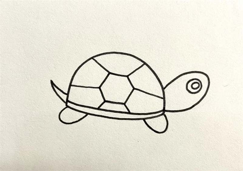 小乌龟简笔画怎么画简单好看