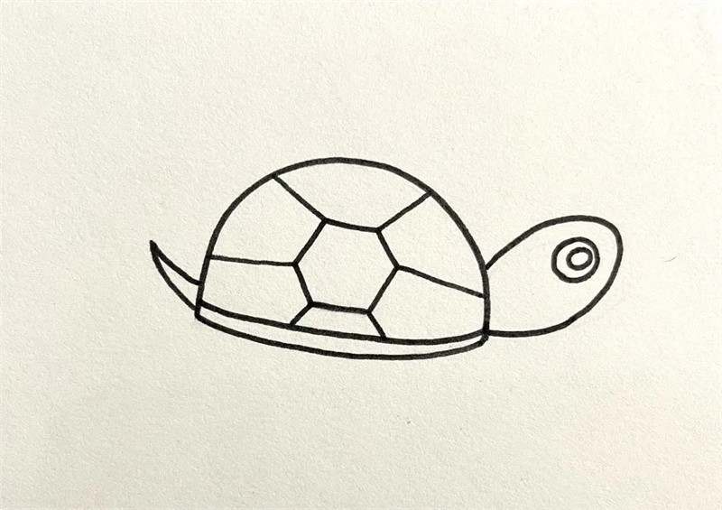 小乌龟简笔画怎么画简单好看
