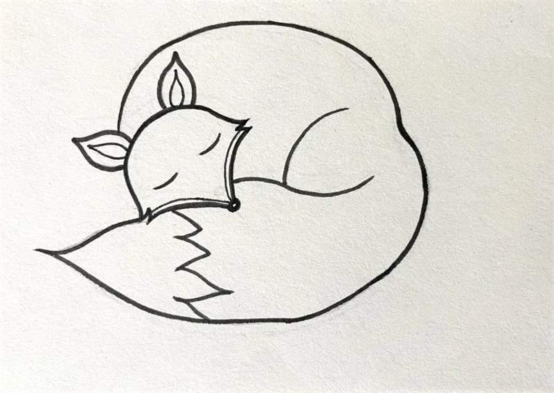 爱睡觉的狐狸简笔画图片教程简单又漂亮