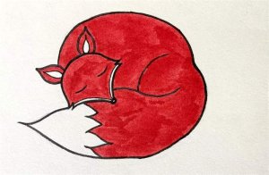 爱睡觉的狐狸简笔画图片教程简单又漂亮