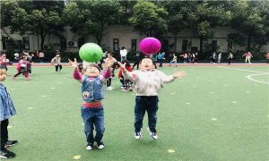 幼儿园中班社会活动《皮球，我会玩》教案及反