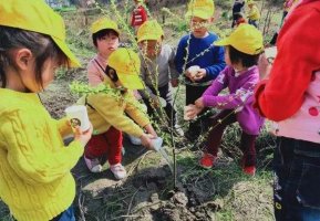 幼儿园小中大班植树节主题活动方案