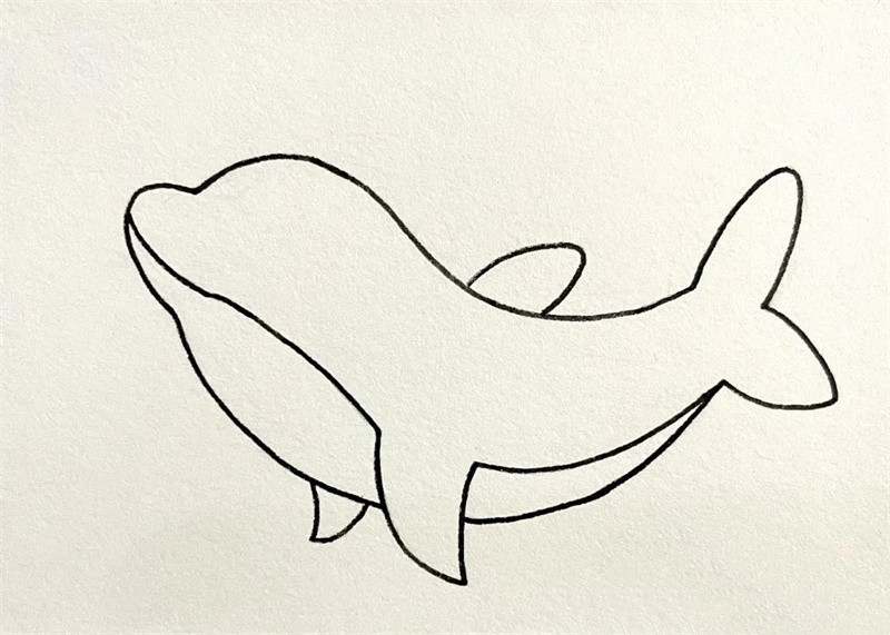 可爱的海豚简笔画图片教程