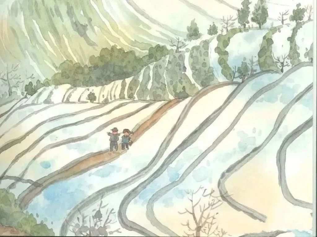 二十四节气旅行绘本《春分采春茶》