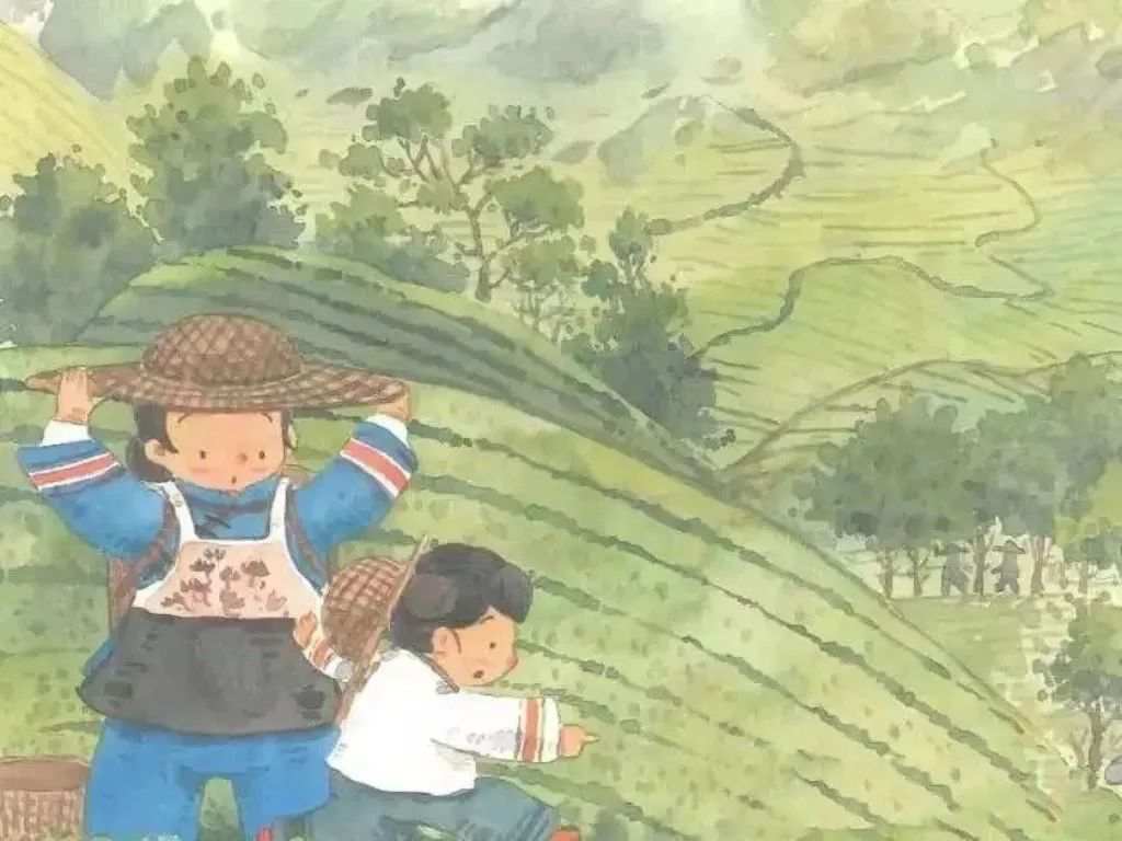 二十四节气旅行绘本《春分采春茶》