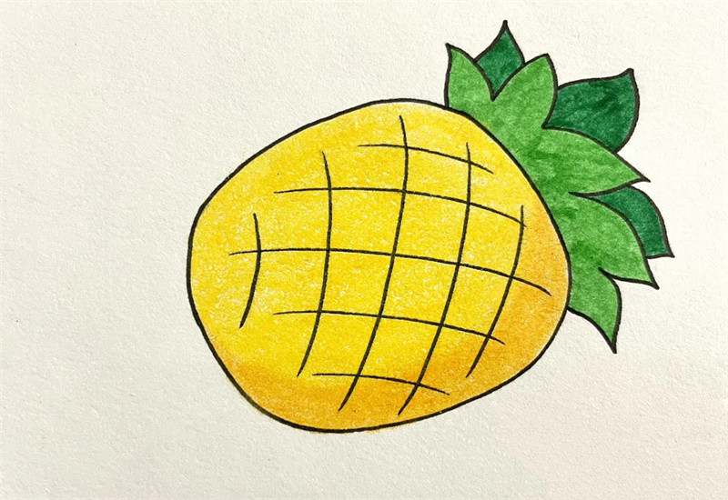 菠萝简笔画图片教程简单