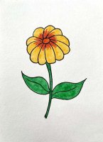 黄色的小野花简笔画图片教程简单
