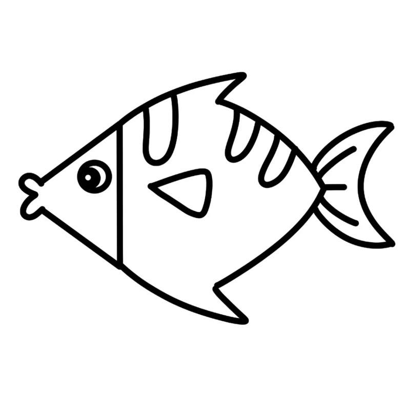 可爱的热带鱼简笔画图片教程