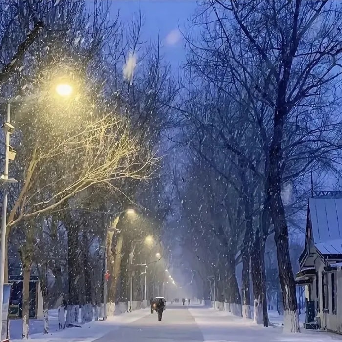 25句适合下雪天发朋友圈的文案,浪漫唯美