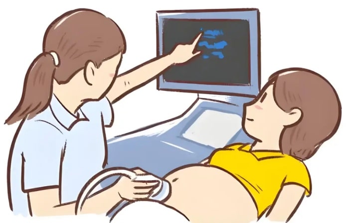 一招辨别怀没怀孕