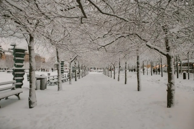 30句冬至古诗词,每一句都很绝!