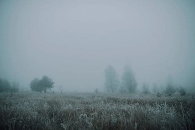 30句冬至古诗词,每一句都很绝!