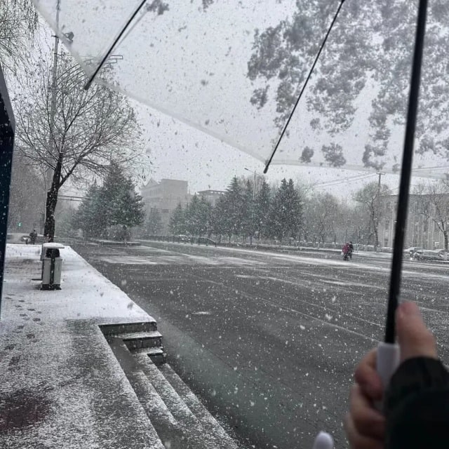 适合下雪发朋友圈的文案