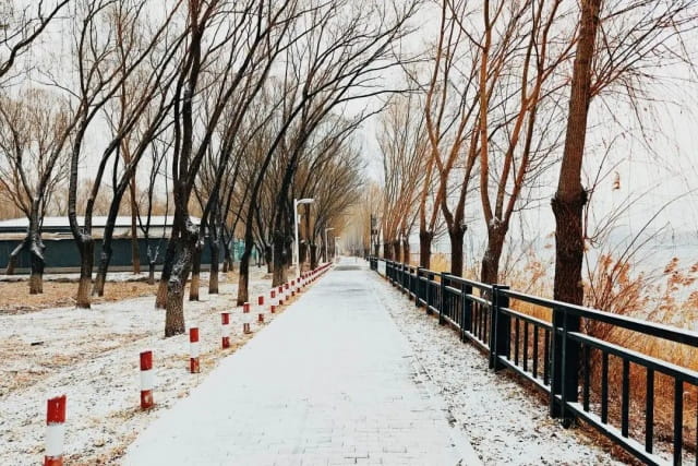 美丽的冬天作文500字左右