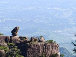 二年级《黄山奇石》课文原文