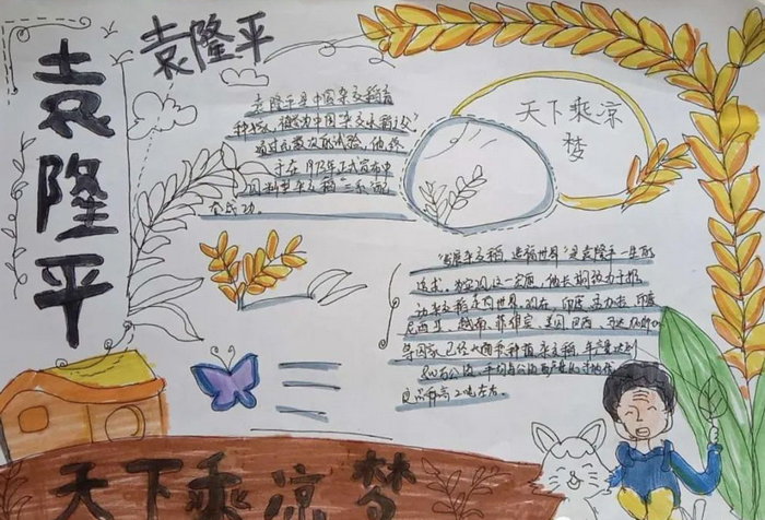 五年级杰出人物手抄报袁隆平