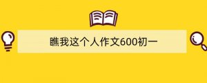 瞧我这个人作文600初一