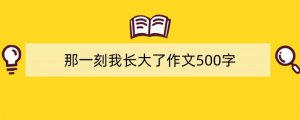 那一刻我长大了作文500字（精选15篇）