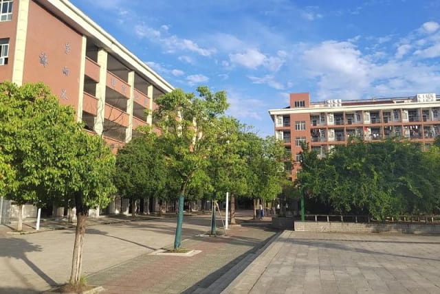 我的校园350字优秀作文