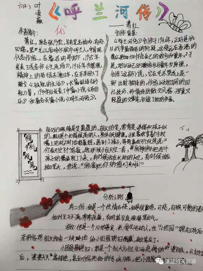 呼兰河传读书小报内容