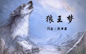 推荐一本好书狼王梦作文500字（精选4篇）