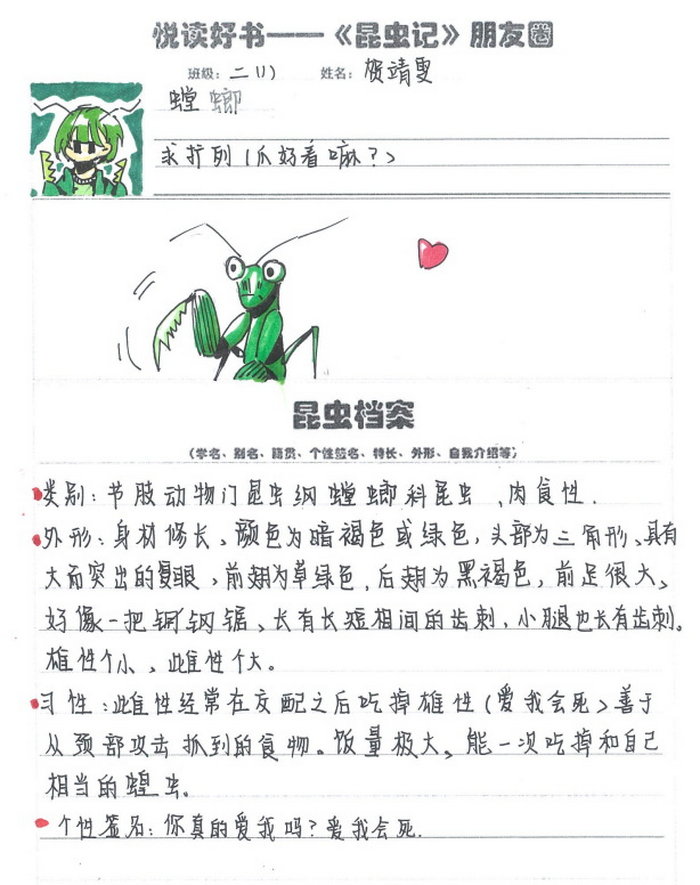 昆虫记的手抄报