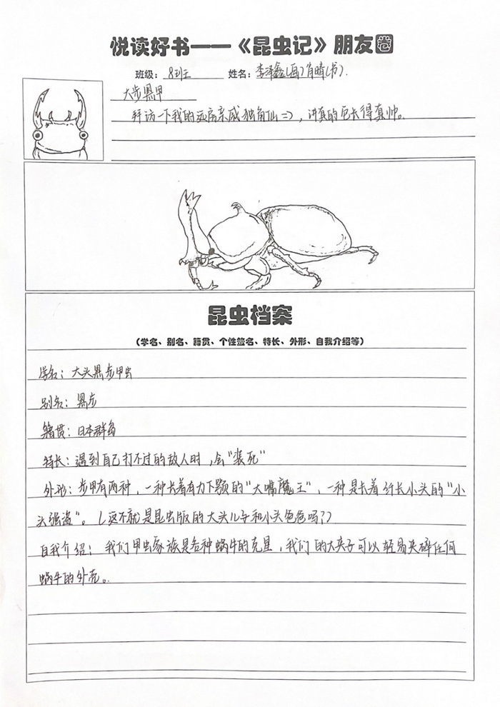昆虫记的手抄报