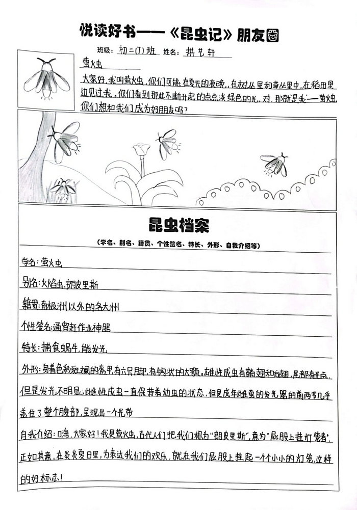 昆虫记手抄报
