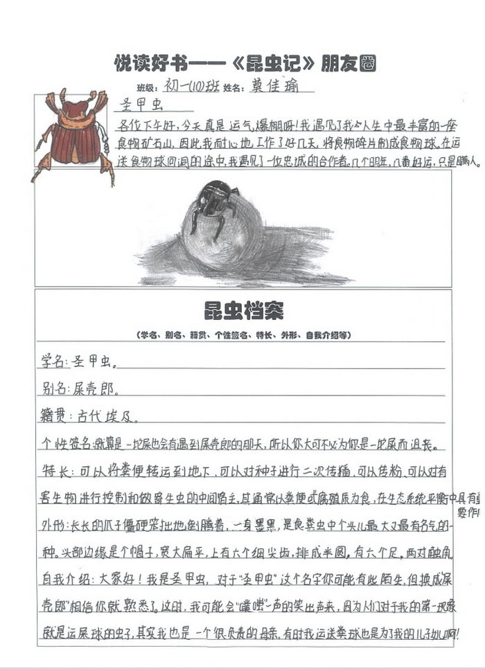 昆虫记的昆虫档案卡手抄报