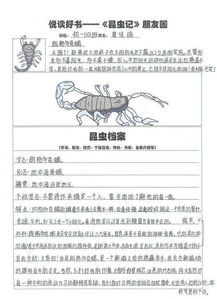 昆虫记小档案手抄报