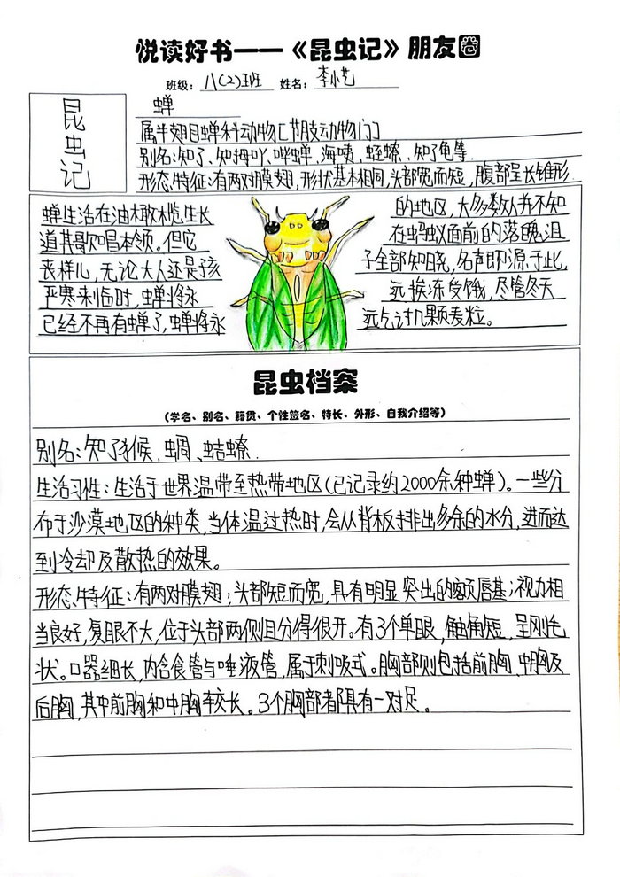昆虫记的昆虫档案卡手抄报