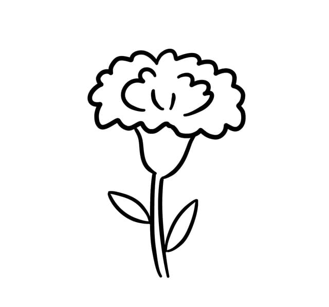 超级简单花的简笔画图片教程